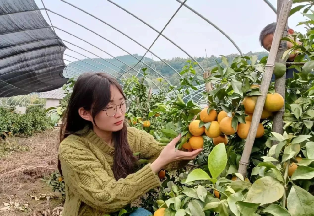 农业品牌 数字经济,该怎么玩