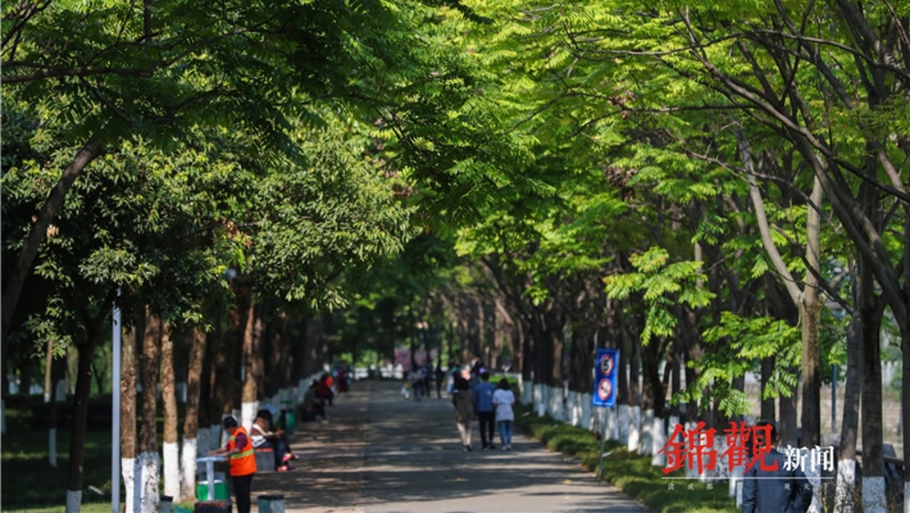 高考成績公布是哪一天_高考成績哪天公布_高考成績公布具體時間