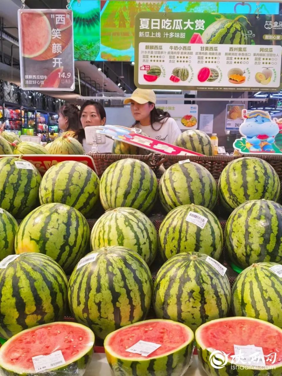 关注 | 为何西瓜丰收却卖不出好价钱?