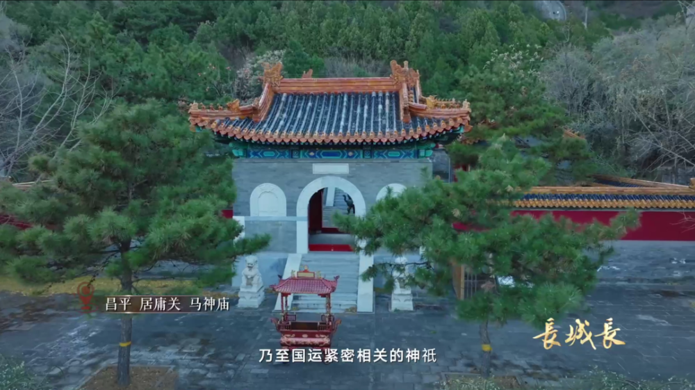 《长城长》总导演王淳华:长城的呼吸吐纳,我与它同频