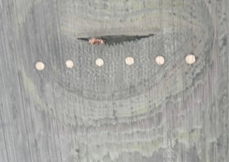 南航"擦机尾"事故涉事飞行员疑操作不当,业内人士解析事故关键点及机