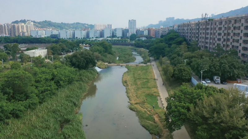 标志着龙岗河这条"流动的城市绿道"全面进入3