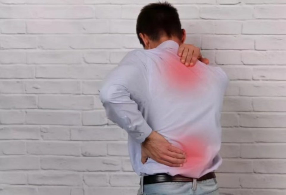 因为湿气重导致经脉容易阻塞不通,从而引发身体疼痛.