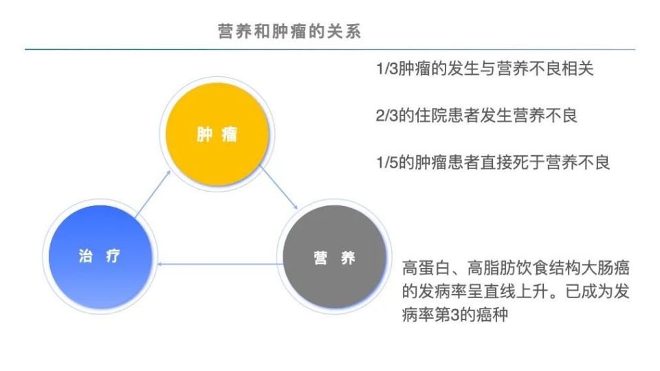 【周三视频】安跟会主任:肿瘤患者营养治疗