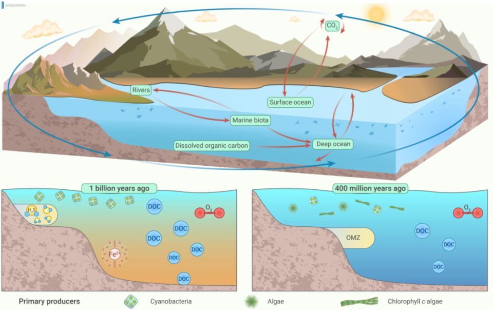 The Innovation Geoscience | 海洋重要碳库（溶解性有机碳库）演化史揭秘_腾讯新闻