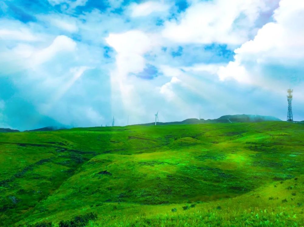 乌蒙山大草原图片