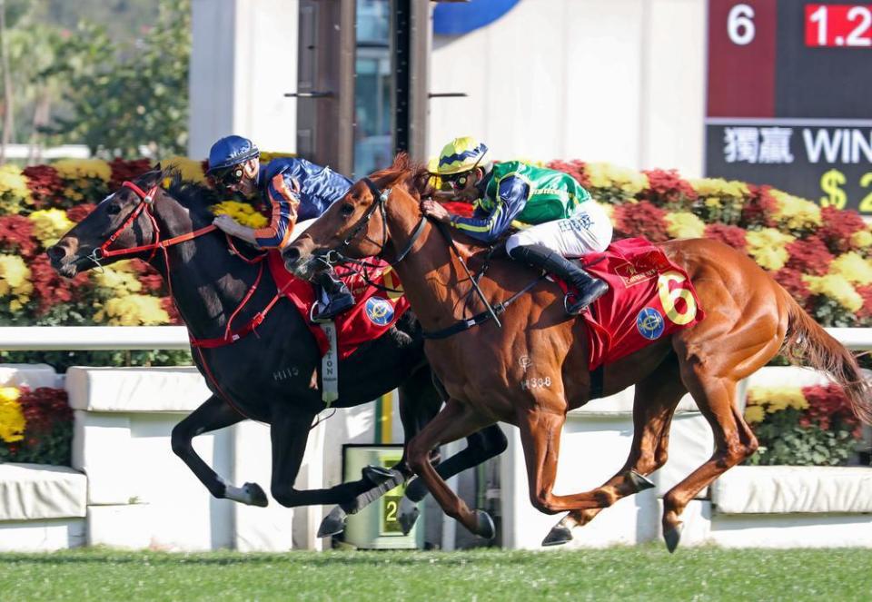 香港"马照跑":农历新年赛马日开锣,八万"马迷"入场