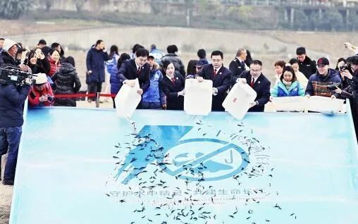 注意！重庆全市禁捕水域全面禁止垂钓4个月