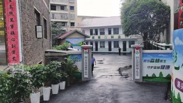 湖南日报头版|有名有责 有实有效 ——邵阳市统筹推进林长办与林业站