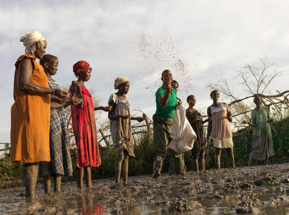 图记·南苏丹之困|难民危机:极端天气的频繁出现加剧饥荒_腾讯新闻