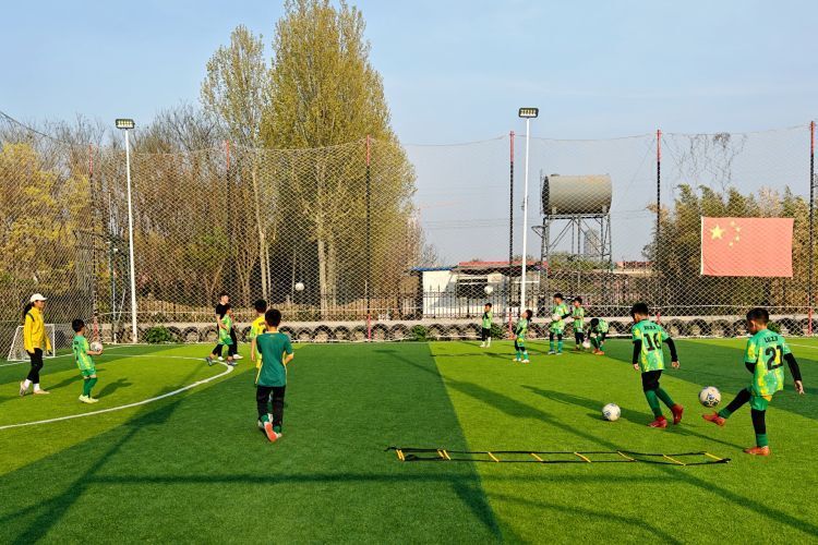 甲a"辽小虎"助力淄博打通青训全路径_腾讯新闻