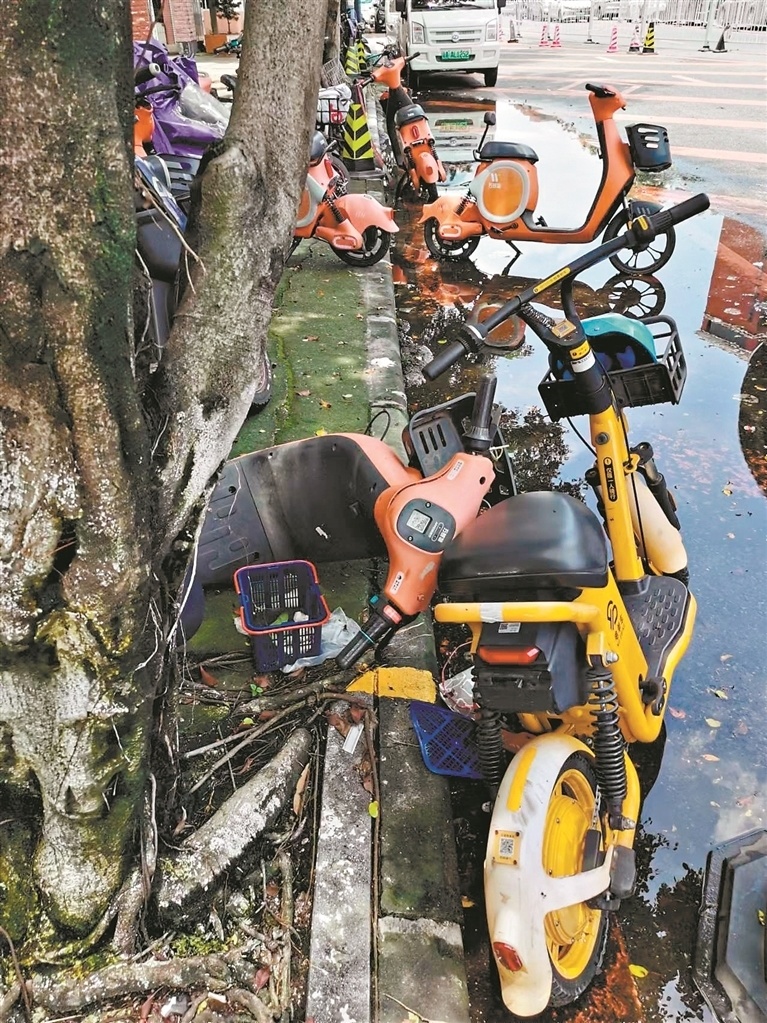 城事|隐患多,维权难,街头共享电单车建议别用