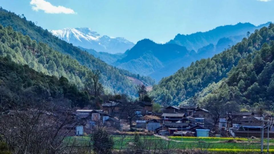 国庆一起去滇西北考察纳帕海抓稻田鱼!