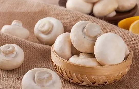 口蘑的"死对头",医生提醒:二者万不可同吃,吃口蘑的禁忌要懂!