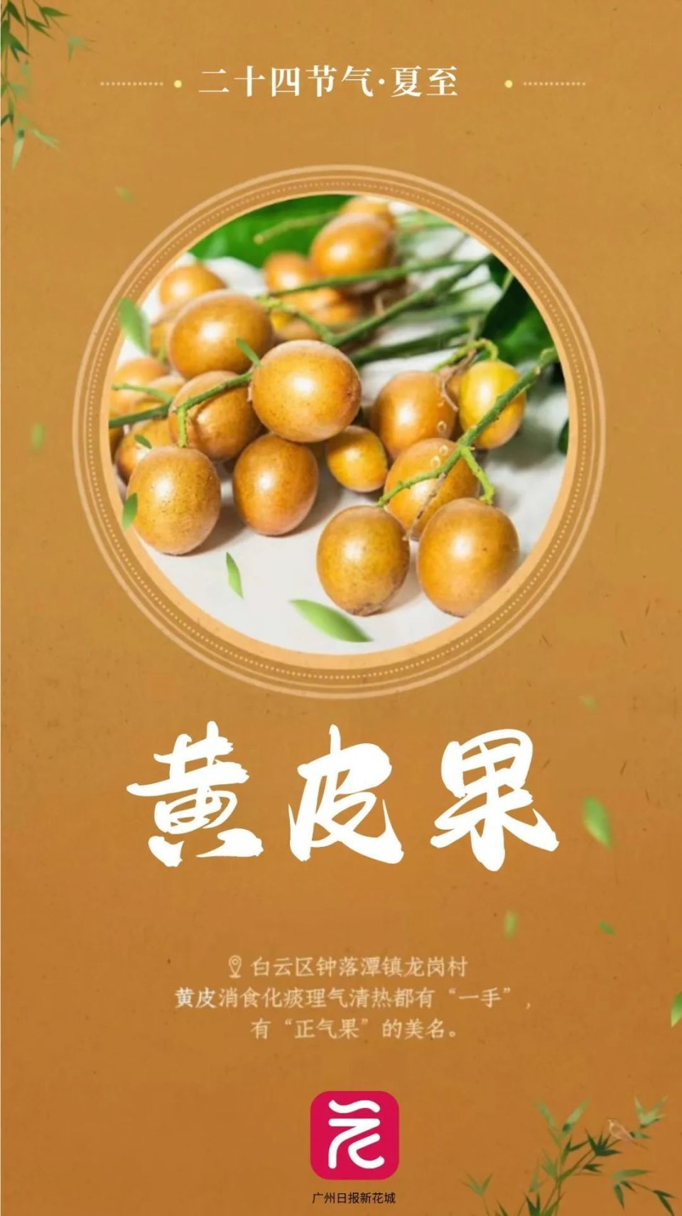 鳳凰衛(wèi)視：今期澳門開獎結果記錄查詢228年來最早夏至來了！廣東人的“正氣果”正大量上市，“可鹽可甜”