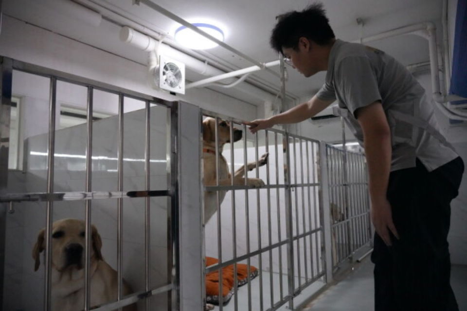 国际盲人节,广州导盲犬学校迎来新校舍