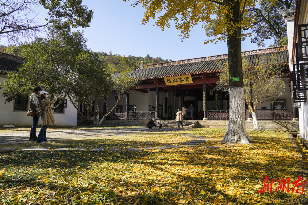 时光碎片|到岳麓书院,找寻最有文化味的秋色