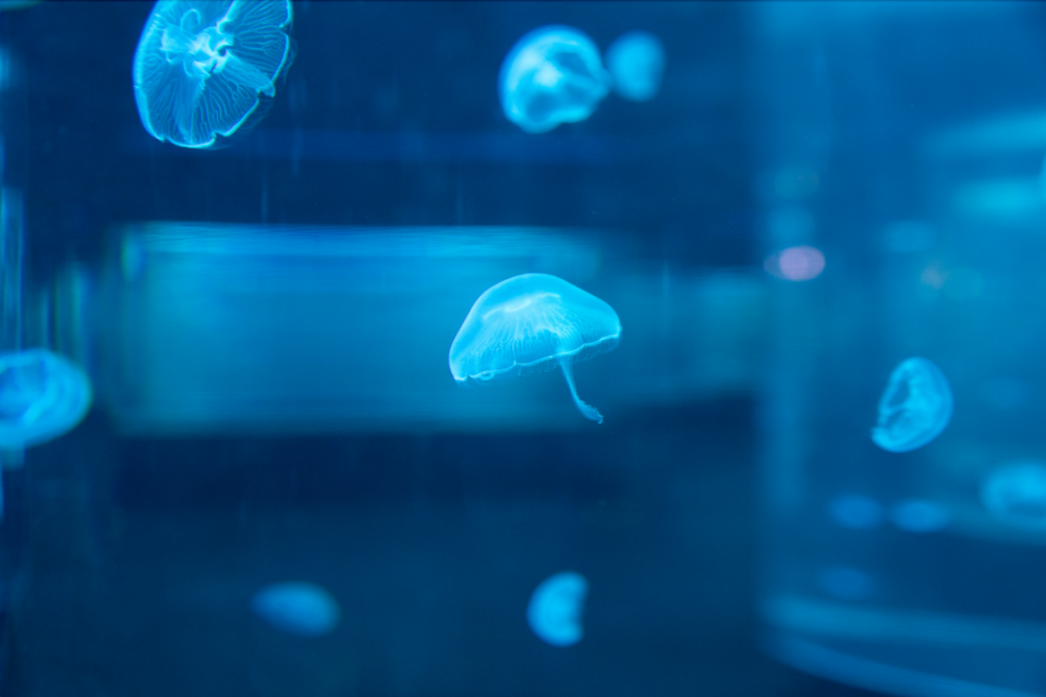 佛山最大海洋亲子乐园,来了