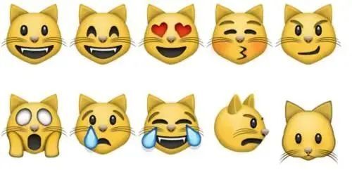 (表情包有2,3个g,现实生活中的面瘫,你们躺枪了么?