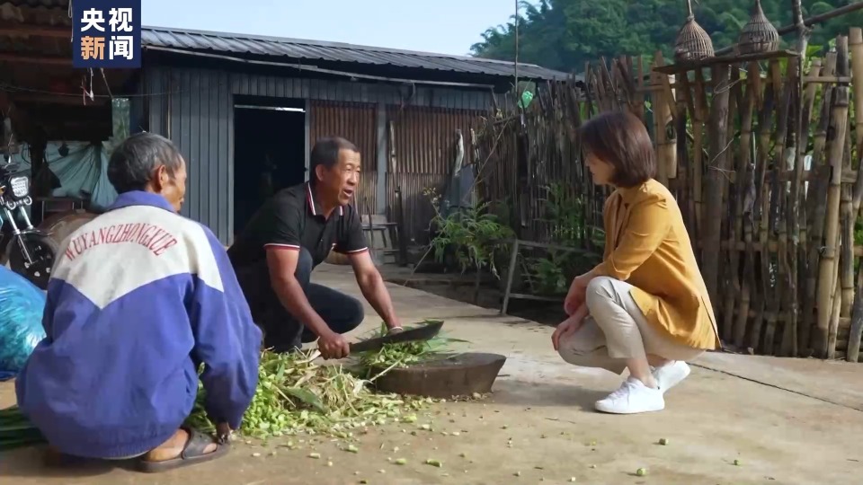 [南方生姜网-图片加载]