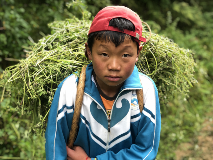 "说话的男孩名叫小平(化名),这已经是他第三次拒绝老师的建议了.