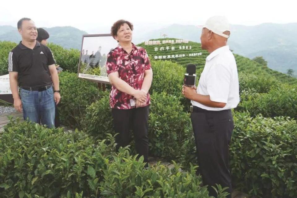 委员履职故事|陈玉玲委员:凝聚两岸情 共绘"同心圆"_腾讯新闻