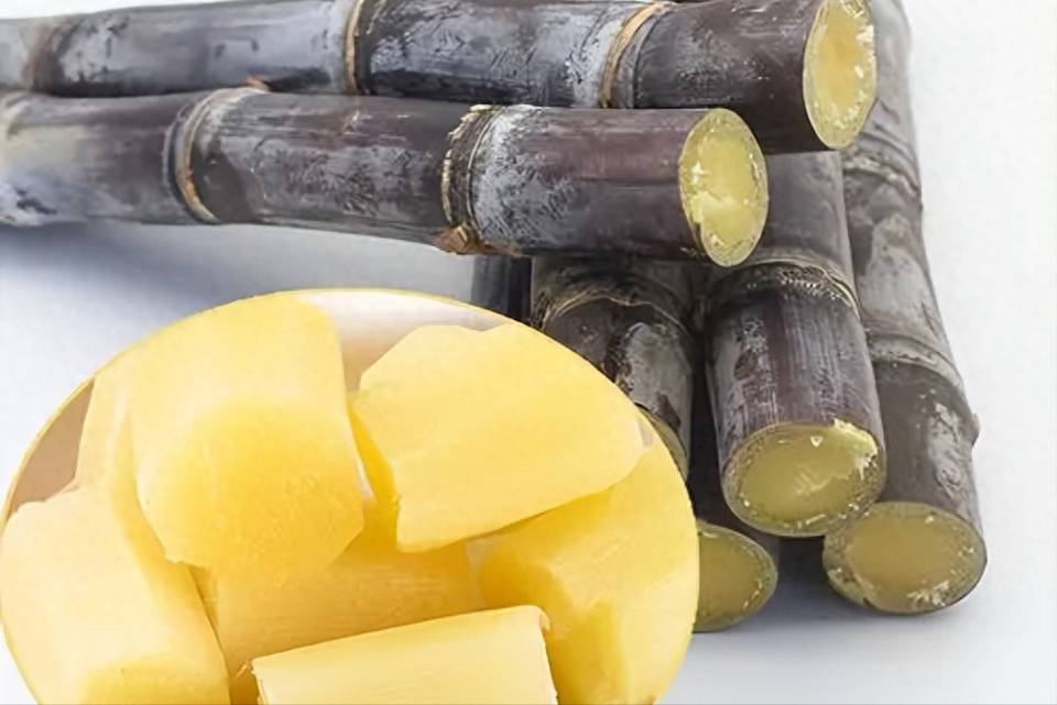 甘蔗是痛风的"祸首"?医生提醒:少吃这三物,病情或能减轻!_腾讯新闻