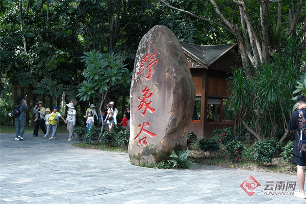 野象谷风景图片