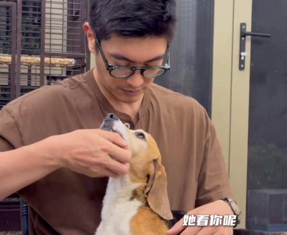 看到霍思燕杜江收养实验犬珍珠后续,网友感叹:他俩的福气还在后头呢