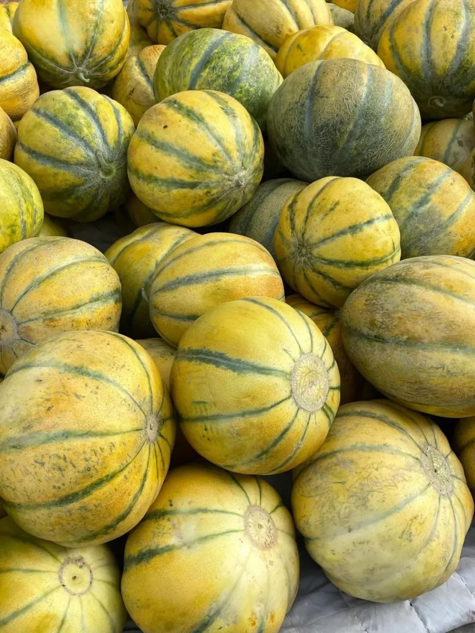 来源 | 综合新疆是个好地方 @周而言瑜 @阿杰在新疆 @卖水果的小康