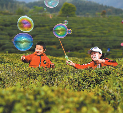 肖本祥摄(人民视觉)浙江省湖州市南浔区和孚镇,村民在桑基鱼塘边采摘