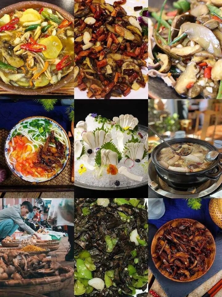 关于野生菌的安全食用提示_腾讯新闻