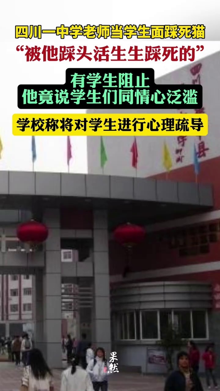引发众怒！中学老师当学生面踩死猫扔垃圾桶：怎教孩子尊重生命？-腾讯新闻