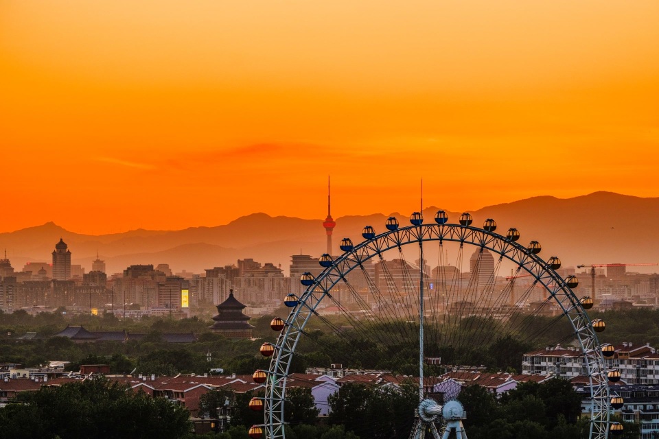 北京日月星辰花卉市场图片