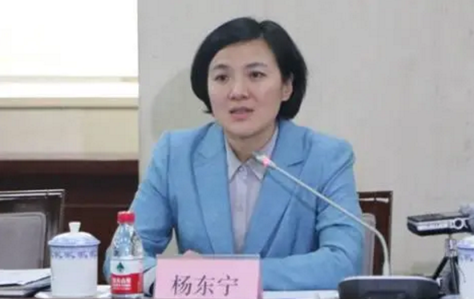 杨东宁出生于1976年3月,现年47岁,博士研究生学历,哲学博士学位,是金