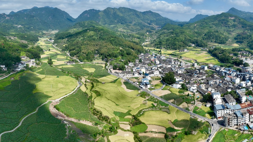 这是永泰县白云乡的村落,青山和稻田(10月2日摄,无人机照片).