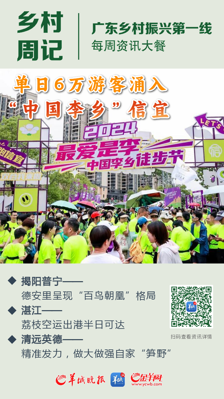 乡村周记 | 单日6万游客涌入"中国李乡"信宜;普宁