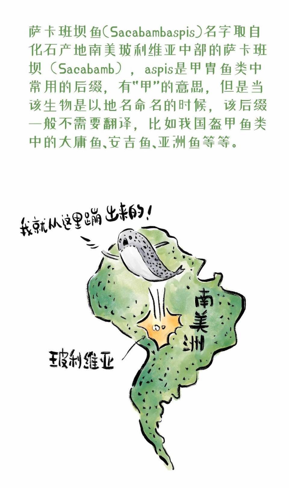 封面科考队丨这种史前鱼类为啥长得像外星人?_腾讯新闻