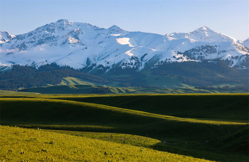 新疆伊犁:雪山草原相映 尽显空灵之美-腾讯新闻