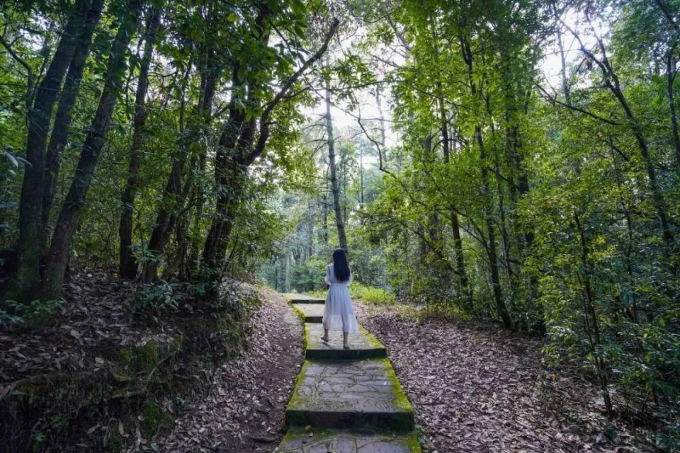 听云南 | 楚雄紫溪山 一年四季都有好风景