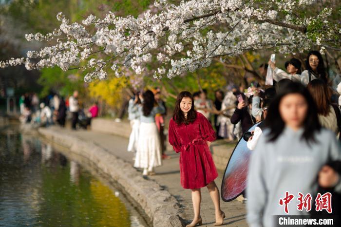 北京清明节游客多图片