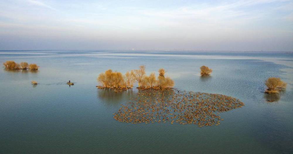 "湖韵渔风入镜来"——2023高邮湖,宝应湖,邵伯湖摄影展(赛)将评出入展