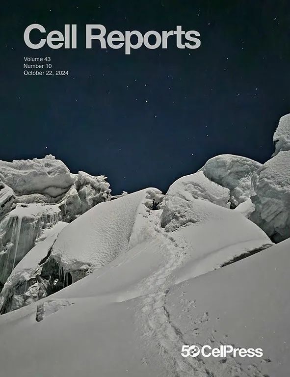 2024年10月，这些研究登上了Cell Press期刊封面！_腾讯新闻