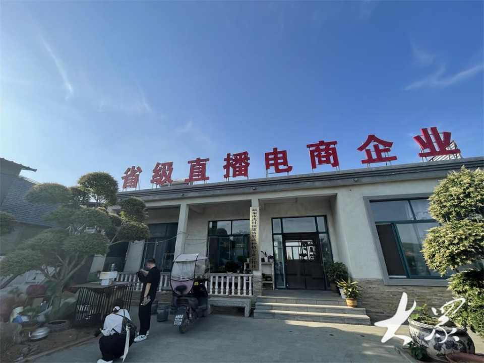 小山村"甘薯革命":电商直播让地瓜走出大山