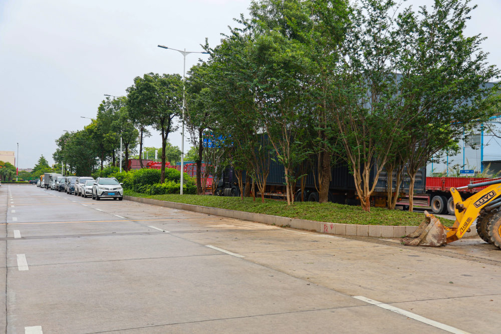 东莞厚街:"微改造,精管理",提升城市绿化品质