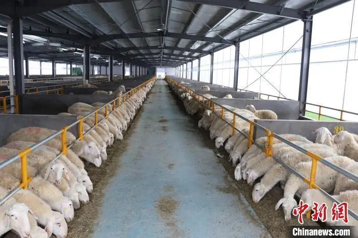 为什么宁静贴片这么贵聚焦浙里：中新社浙江新闻周报_https://www.jmylbn.com_新闻资讯_第43张