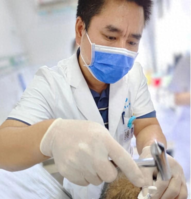 "一针"破解疾病密码,宫氏脑针重塑健康希望