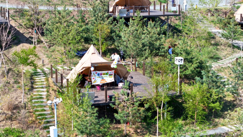 【初夏已至】清爽又出片!原来长春的浅夏,还可以这么"野"