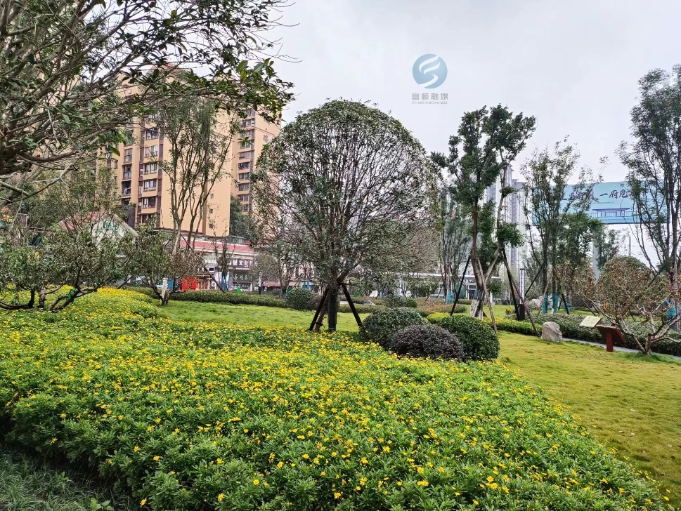 快来富顺解锁"公园20分钟效应"!