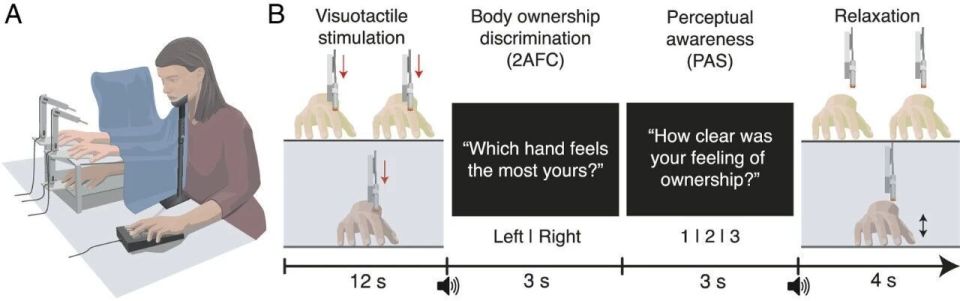 小鼠脑定位怎么固定追问daily ｜ 呼吸妙用：吸气接收线索，呼气重构记忆；动物有情感但无“人样”思维；使用食物揭示AI文化盲点与区域偏见_https://www.jmylbn.com_新闻资讯_第3张